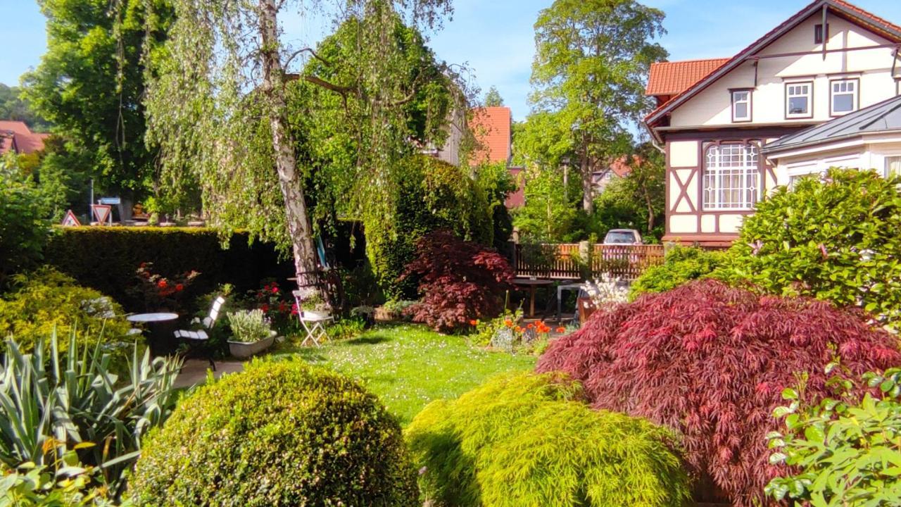 Fewo Am Wetzstein Wernigerode Ngoại thất bức ảnh